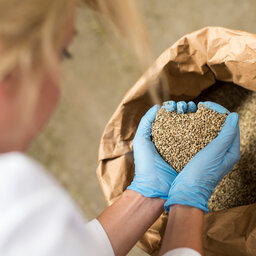 Developing, Transporting & Protecting Seeds In 2022