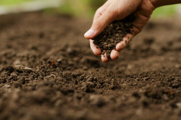 Activate Your Soil Microbes