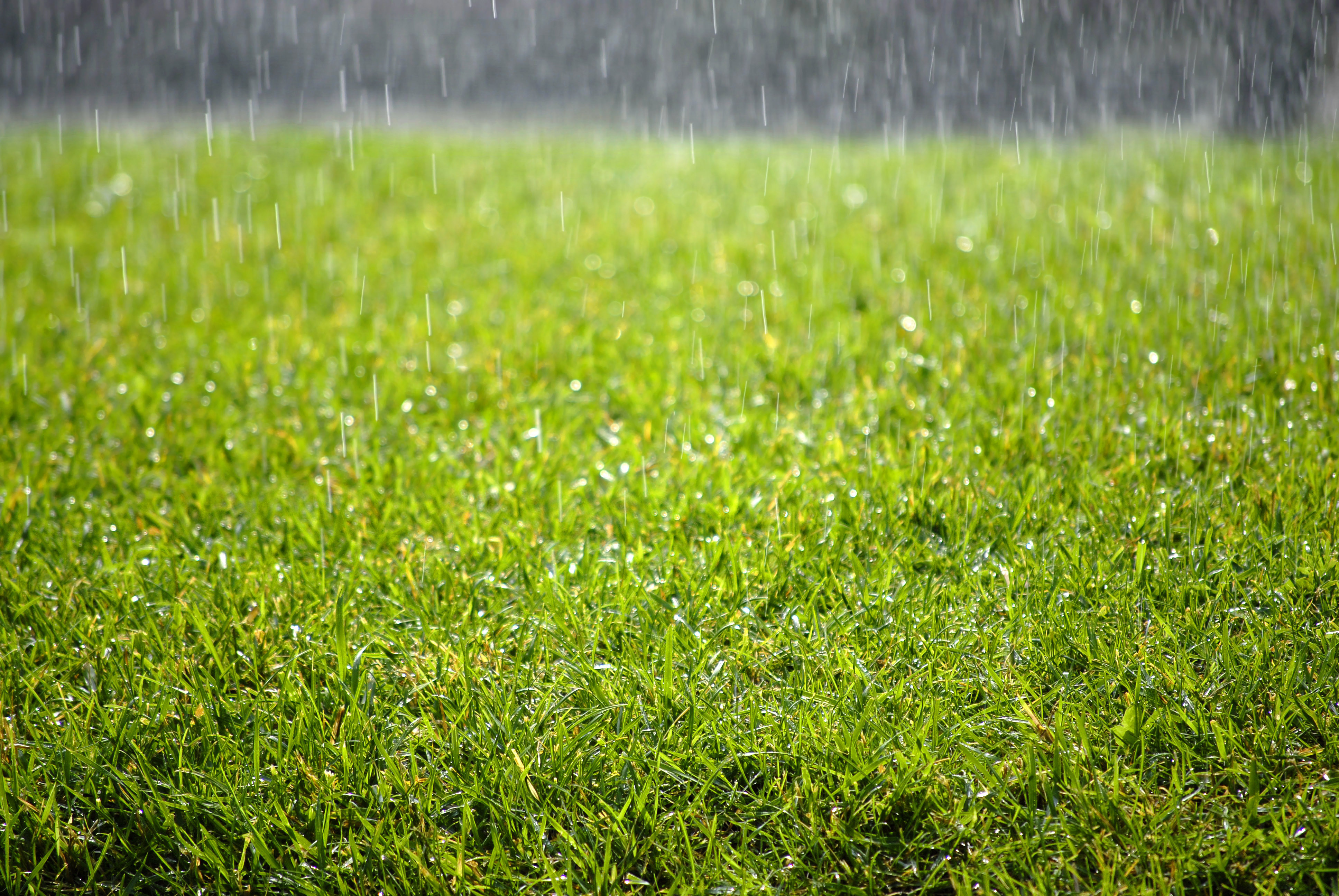 Green Lake Association Joins In On CoCoRaHS Fun