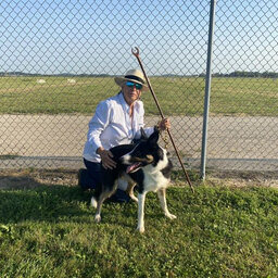 Stock Dog Trials Bring Folks From All Over
