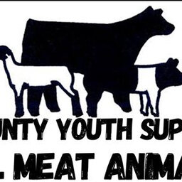 Rock County to Hold Virtual Meat Auction