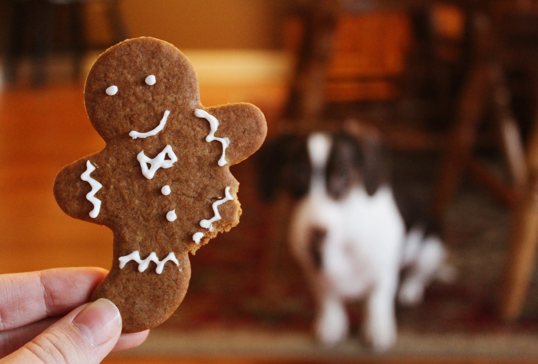 Monday Morning Throwback - Gingerbread Man
