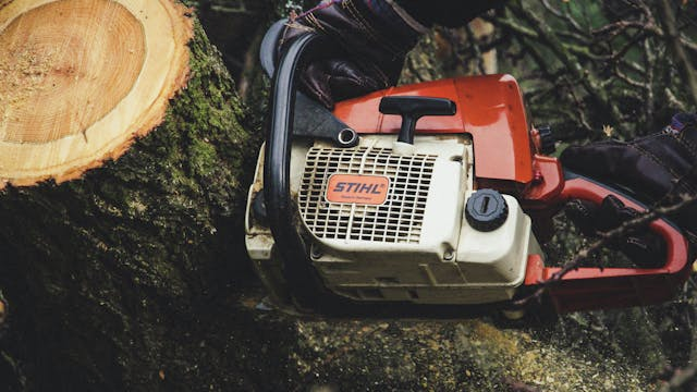 Brian tries to sell his chainsaw on Facebook marketplace and instantly regrets it.