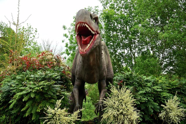 Fireworks names, cities that pay you to move there, and would you visit a real-life Jurassic Park?