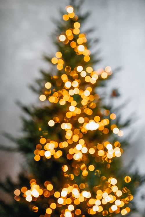 The Monday Morning Throwback - Christmas Tree "Fact or Bullcrap"