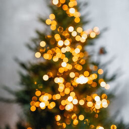 The Monday Morning Throwback - Christmas Tree "Fact or Bullcrap"