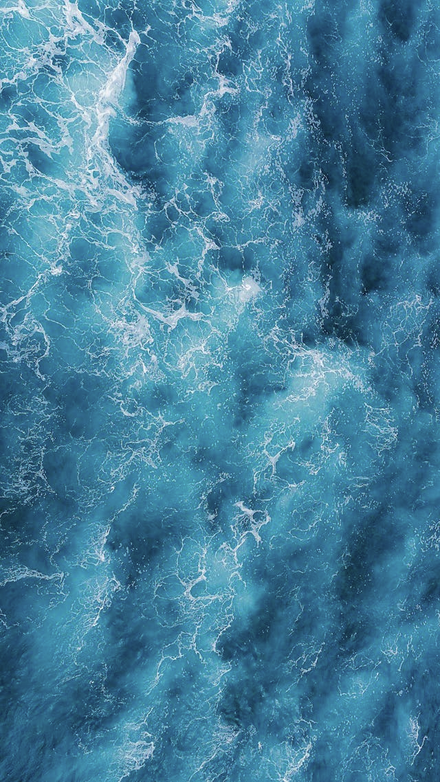 There's some wild SH!T in the ocean.