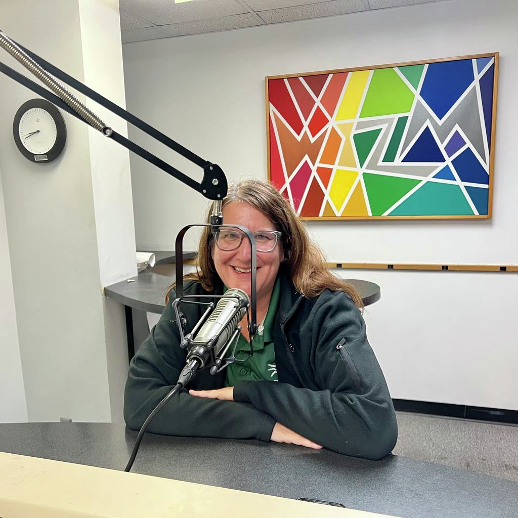 WIZM - La Crosse  Talk Interviews