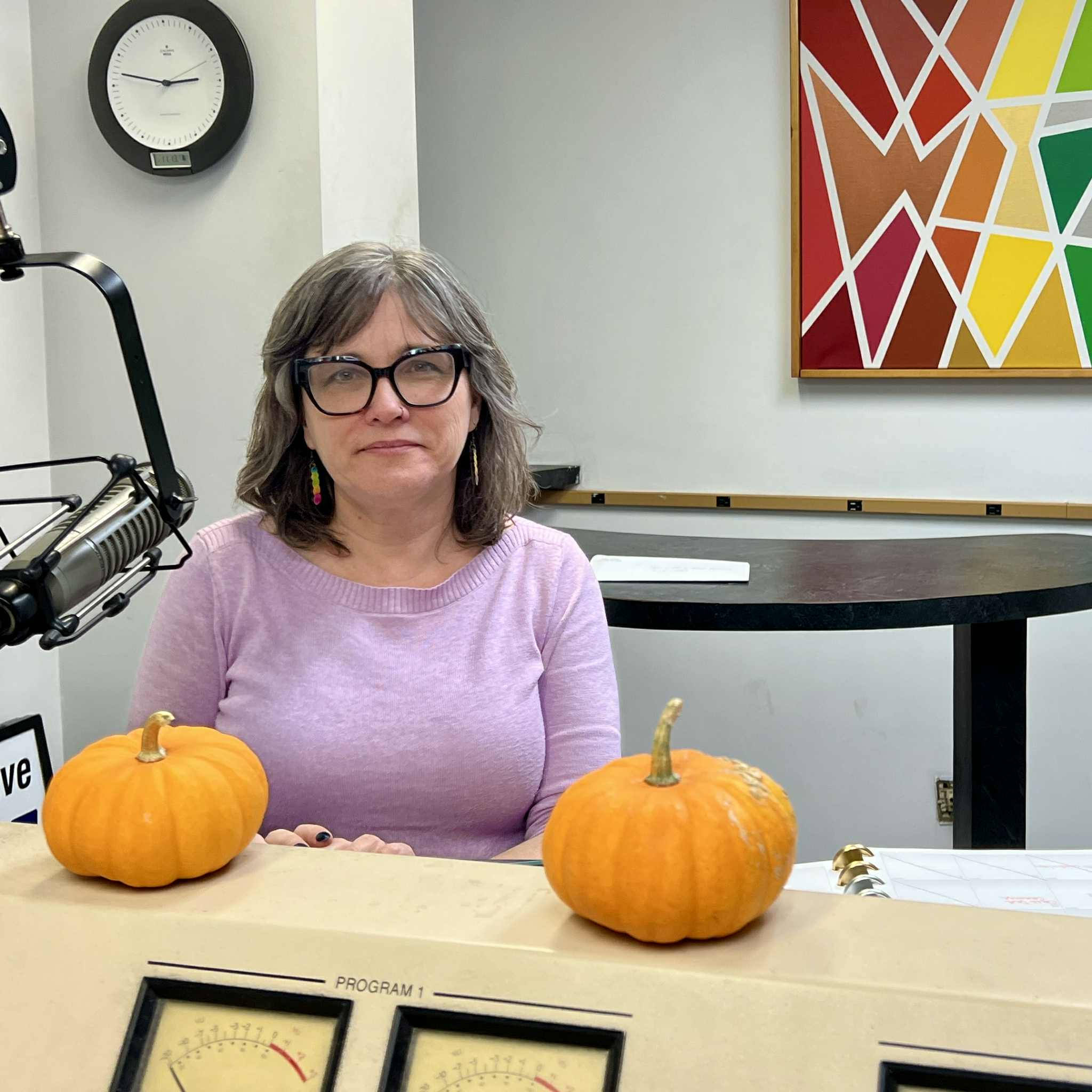 WIZM - La Crosse  Talk Interviews