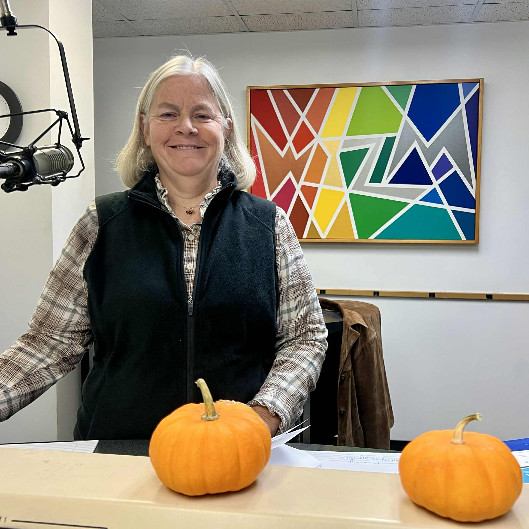 WIZM - La Crosse  Talk Interviews