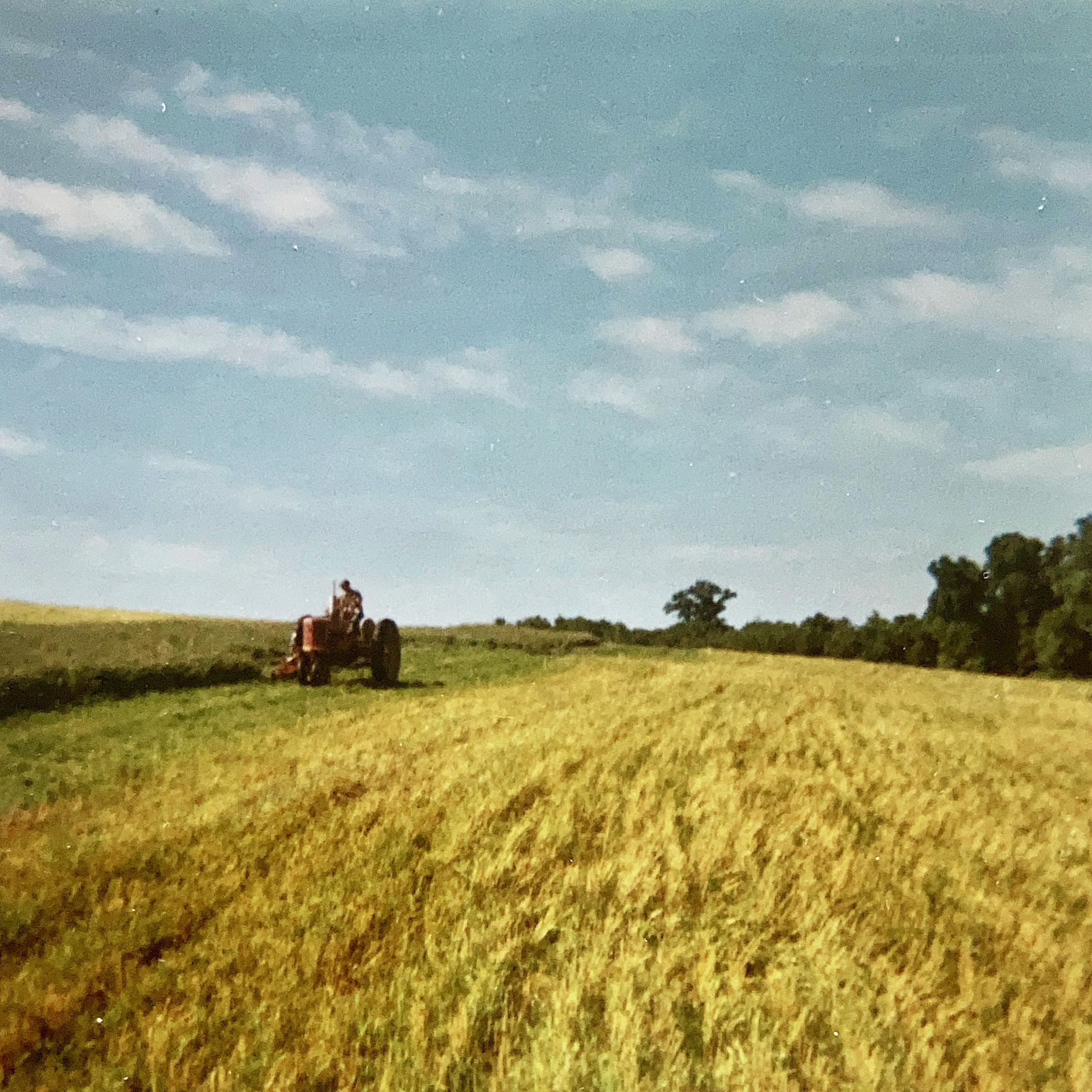 Cutting Hay