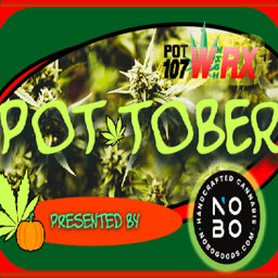It's Pot-tober with W-HIGH-RX and NOBO!