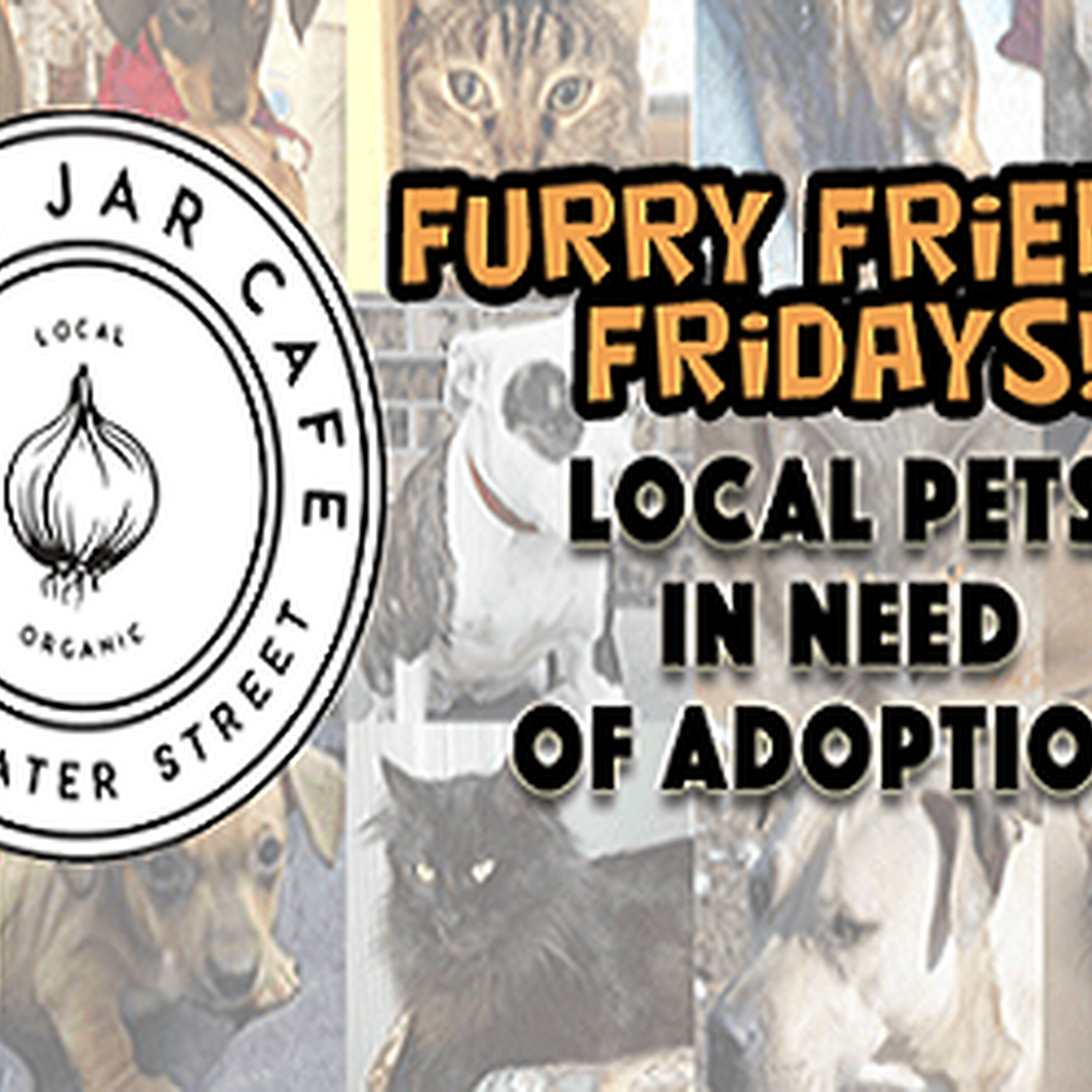 The Mason Jar Cafe Furry Friend of the Week! episode artwork
