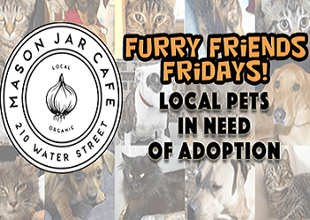 The Mason Jar Cafe Furry Friend of the Week! episode artwork