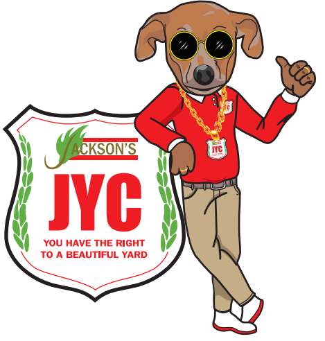 Jackson’s Yard Care: Transforming Outdoor Spaces & Uplifting the Community
