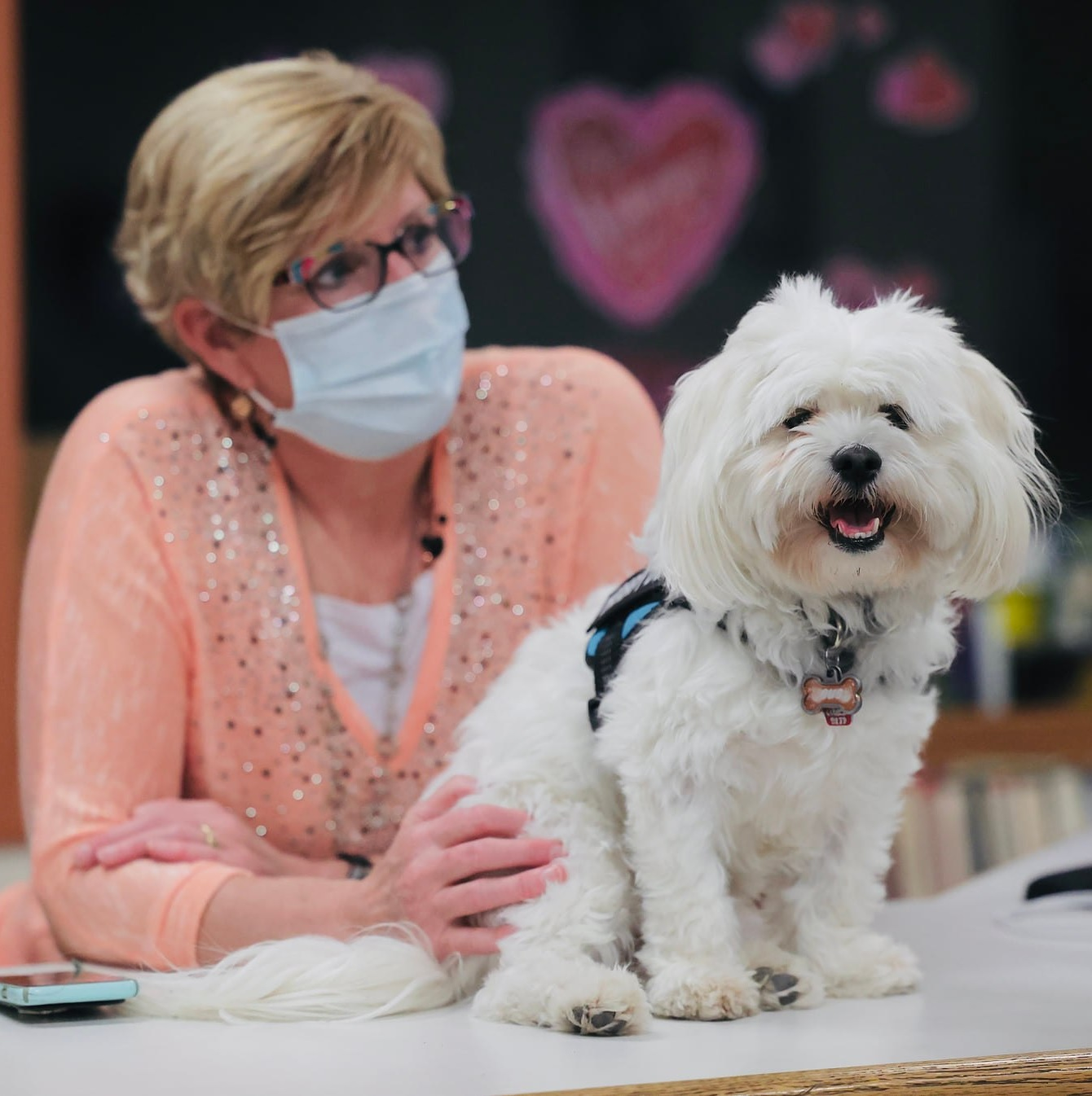 Every school needs a therapy dog ... or cat