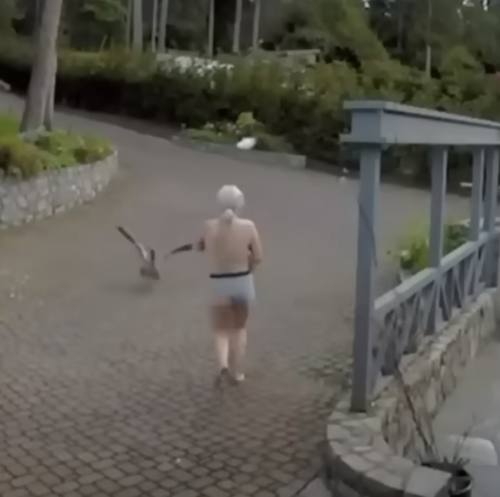 If a breastfeeding mom saves her pet goose from an Eagle, is it American?