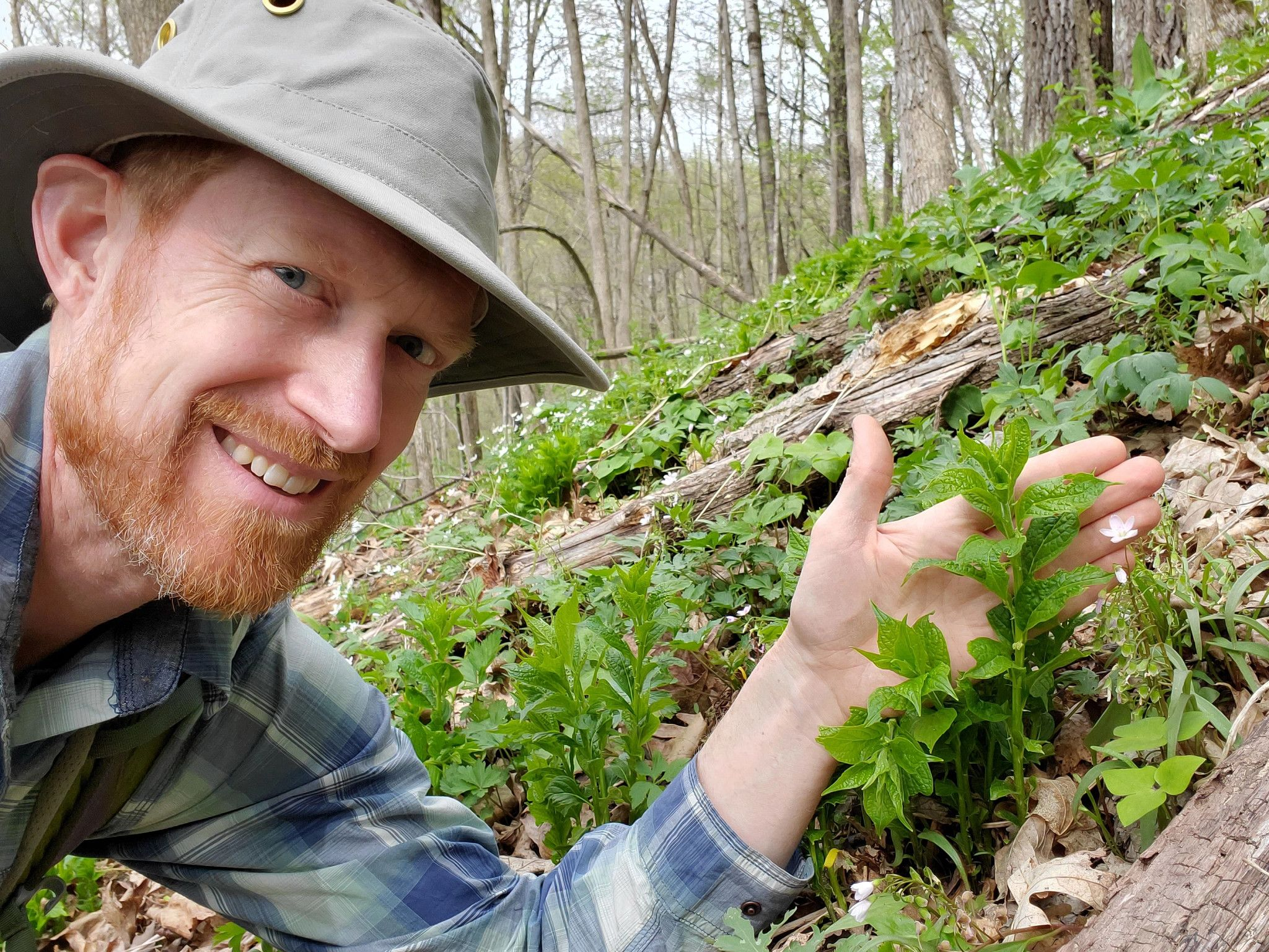 He found the Holy Grail of plants in Wisconsin
