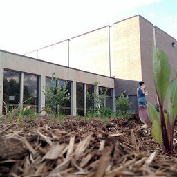 We need more gardens, as Hunger Task Force grows 30k pounds in La Crosse