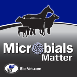 Yogurt for Cows – Microbials and Digestion in Livestock