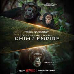 Academy Award Winning Director James Reed Talks "Chimp Empire" on Netflix [Interview]