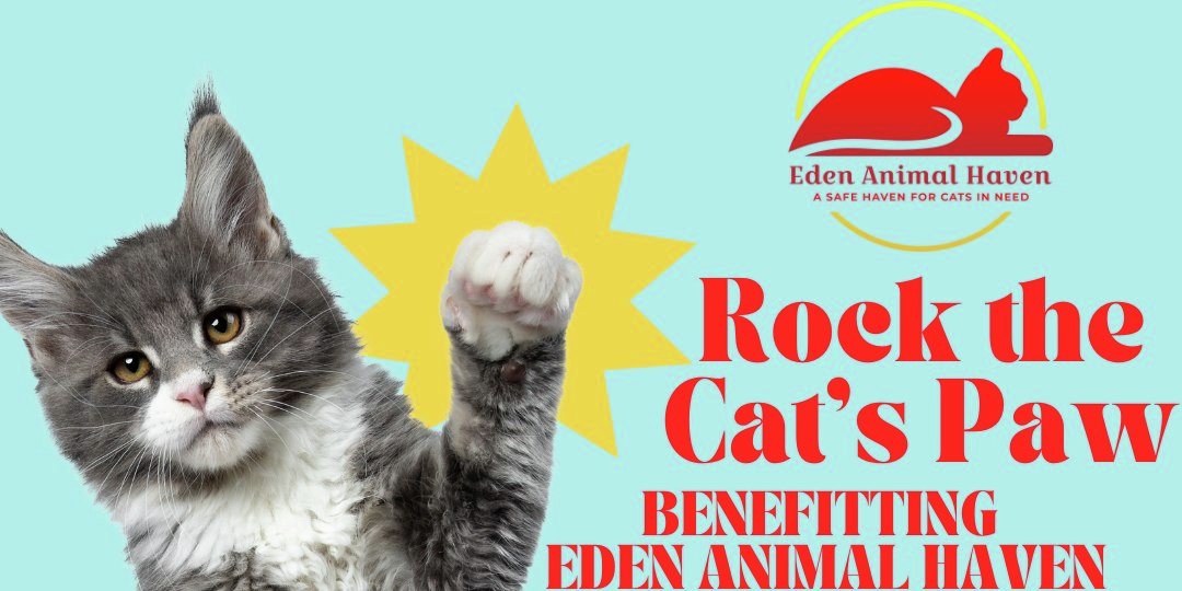 What is Rock The Cat's Paw?
