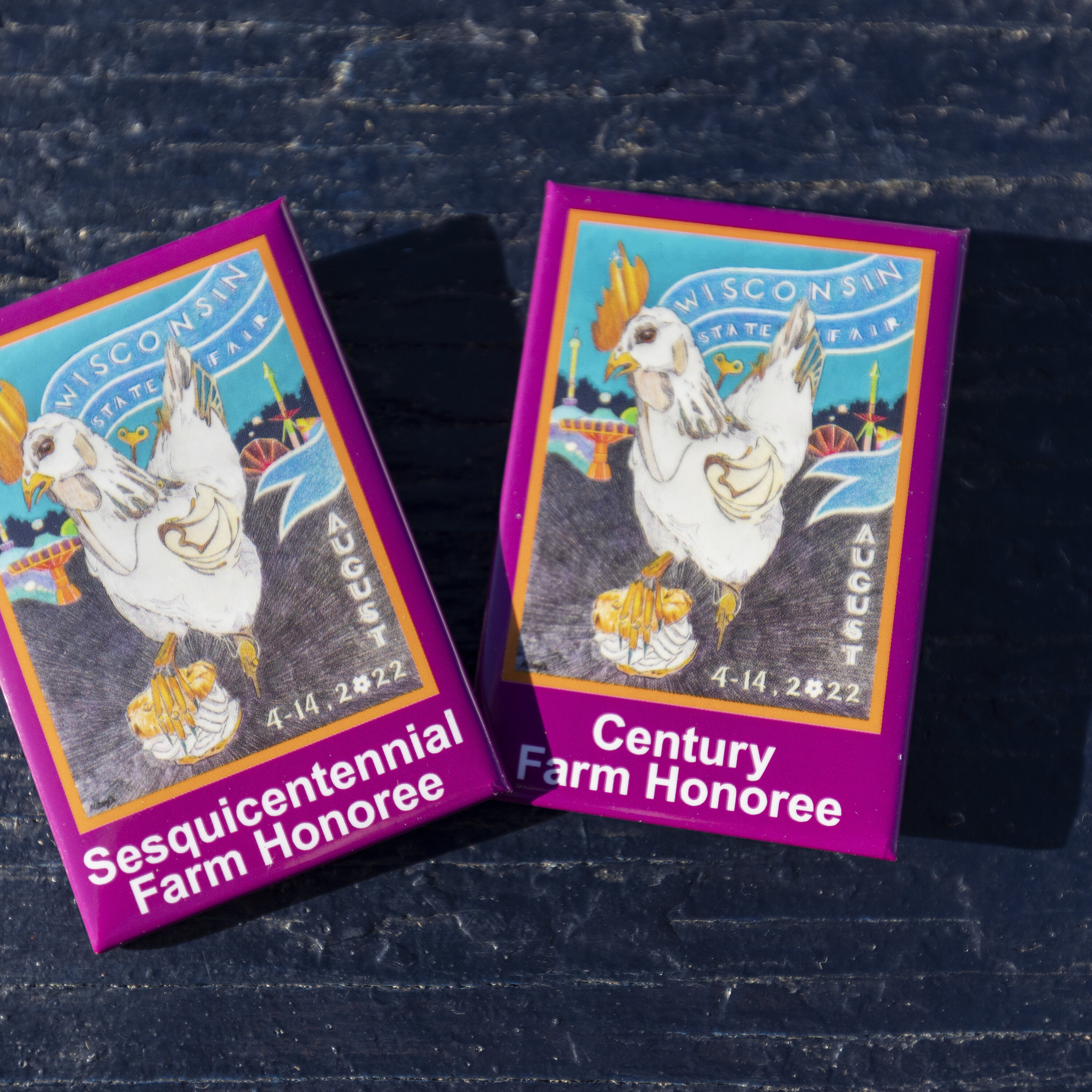 Roger Kittleson - Dane County - 150 Years