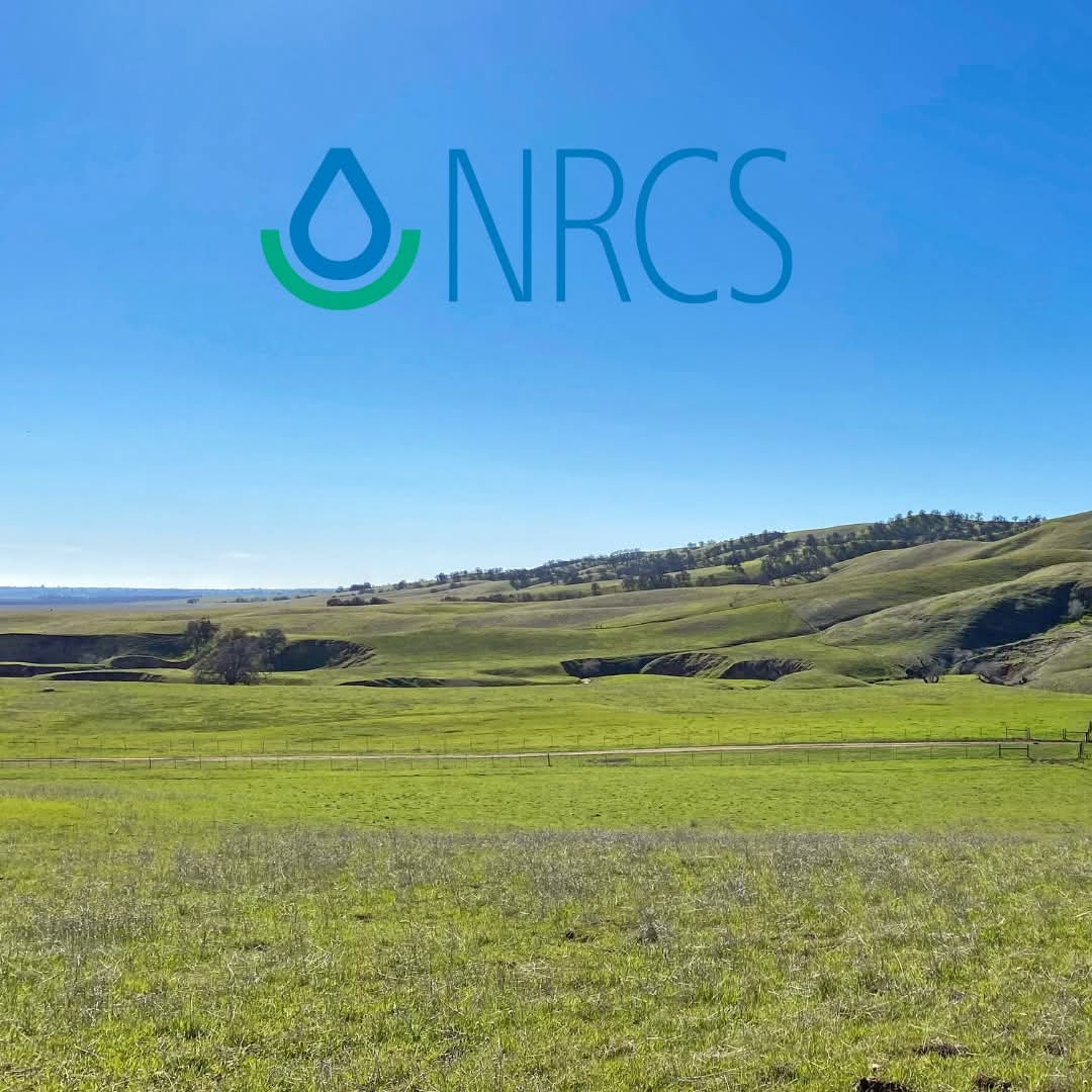 Ag & Conservation Jamie Bischel Airdate July 6