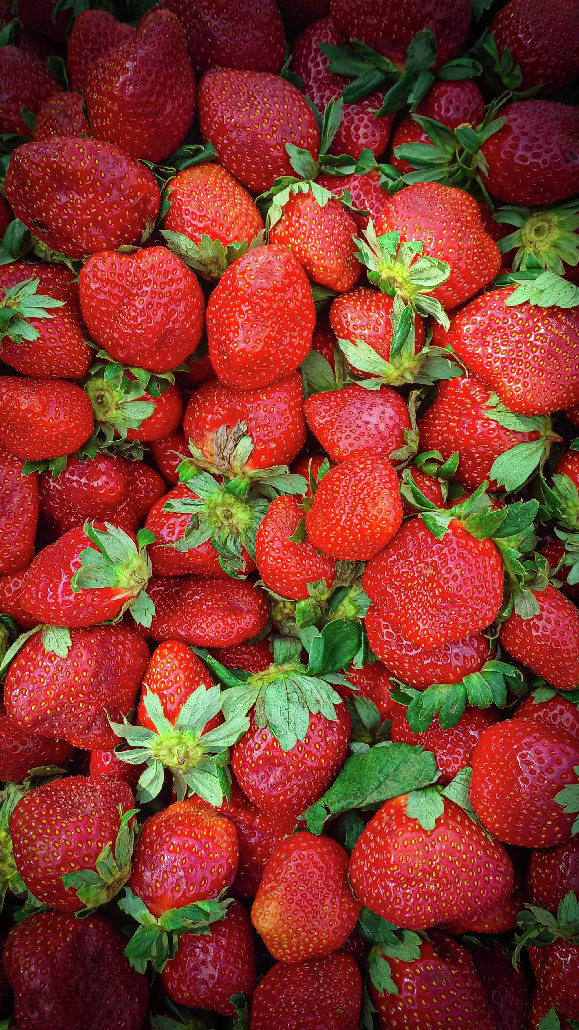 NWS Update, CHS Update, Strawberry Crop, Brent Wink episode artwork