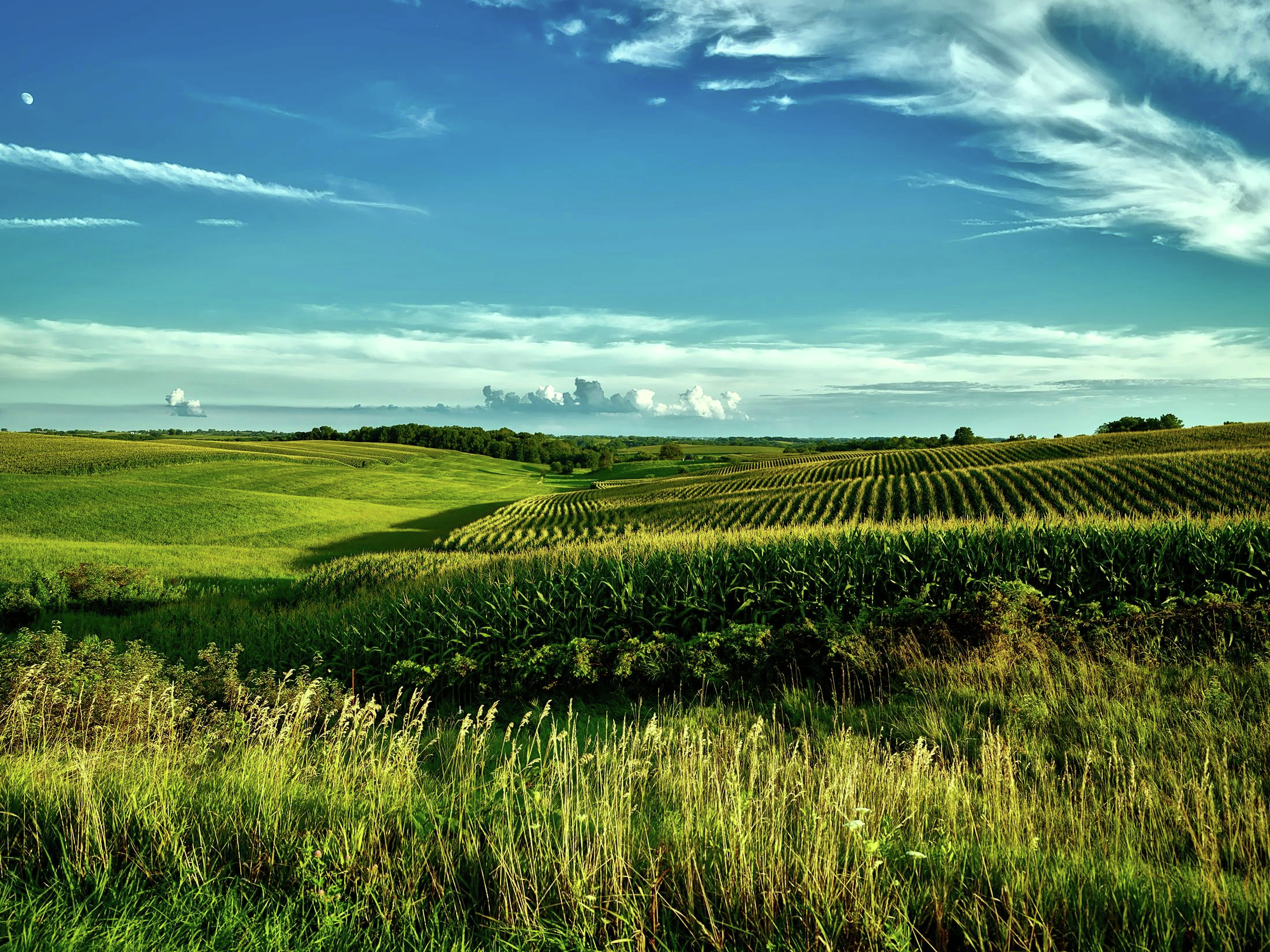 Ag & Conservation Tim Wucherer Airdate July 20