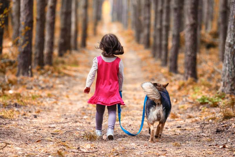 Pet Center: Proč dětem pořídit domácího mazlíčka?