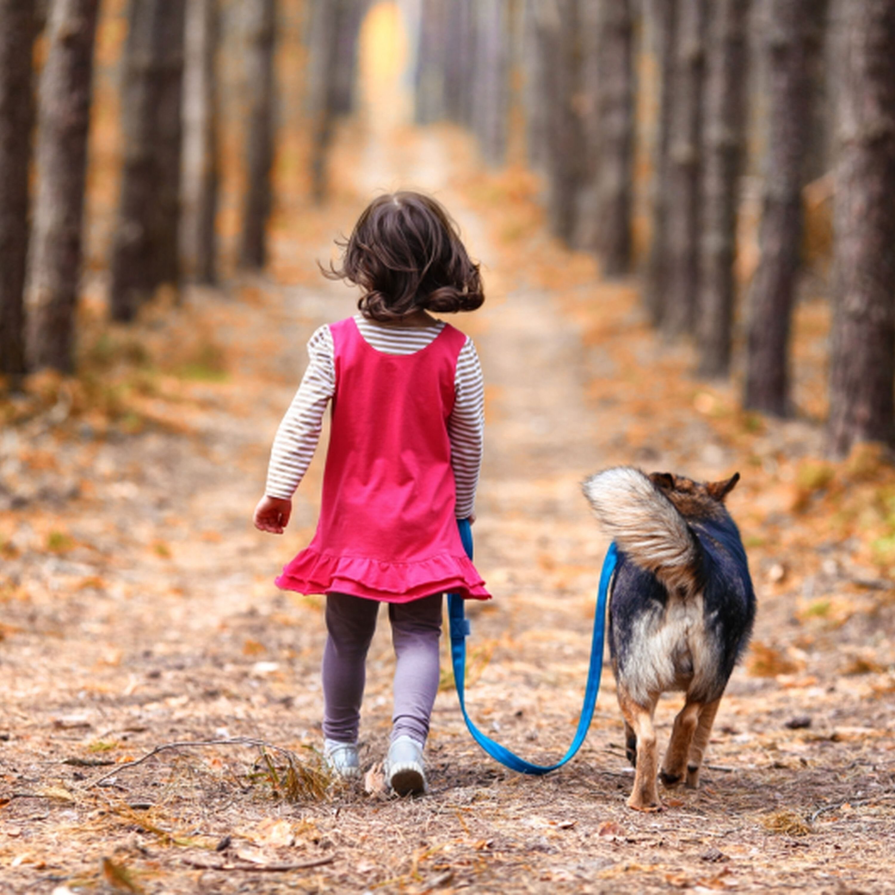 Pet Center: Proč dětem pořídit domácího mazlíčka?