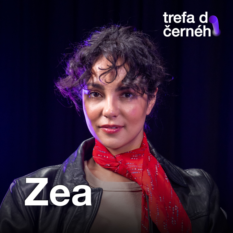 Zea: Poslední roky hledám odvahu psát, doma mám 60 diářů a zápisníků se svými nápady. První deska je výpověď o mém životě