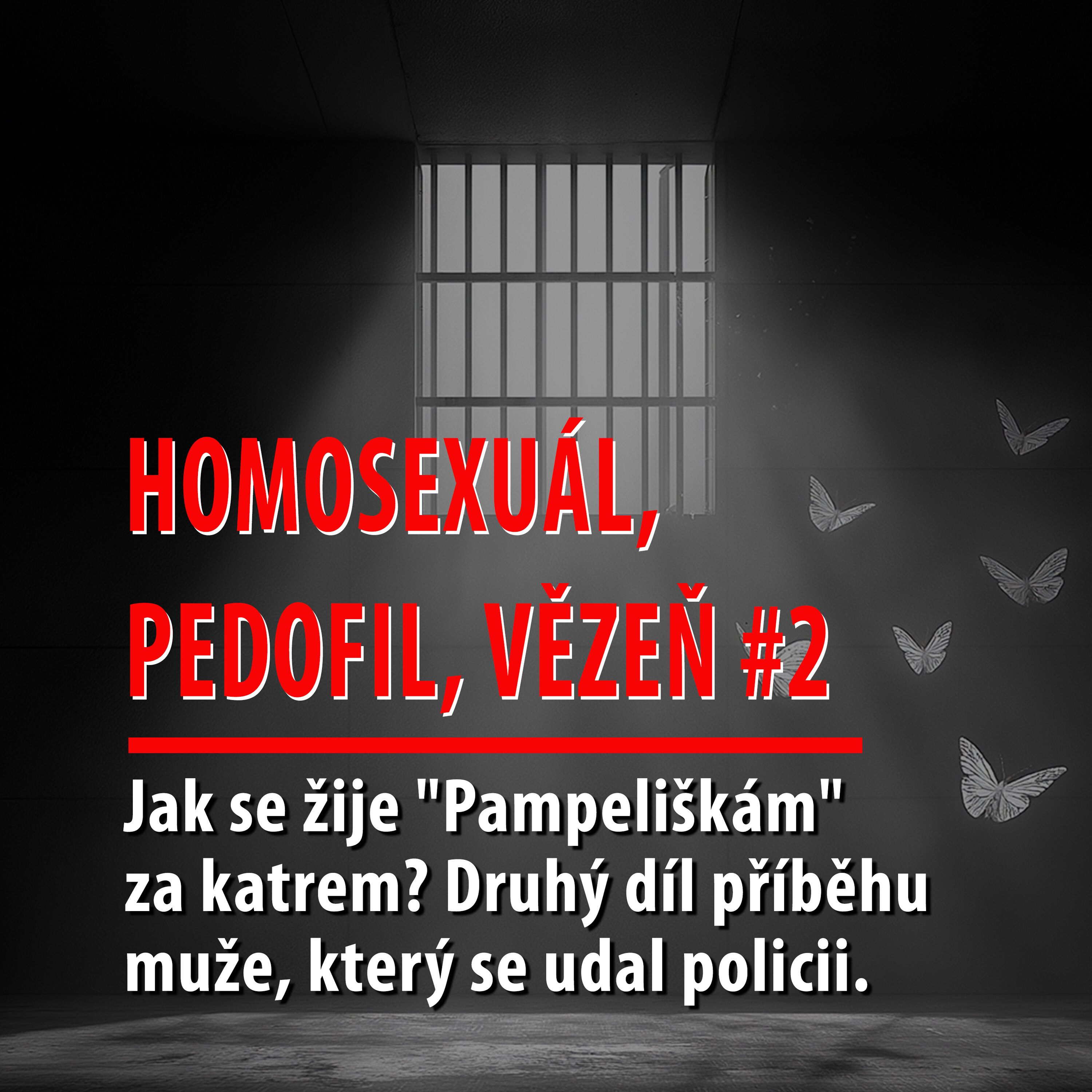 Motýl za katrem: Jak se žije "Pampeliškám" za katrem? Druhý díl příběhu muže, který se udal policii.
