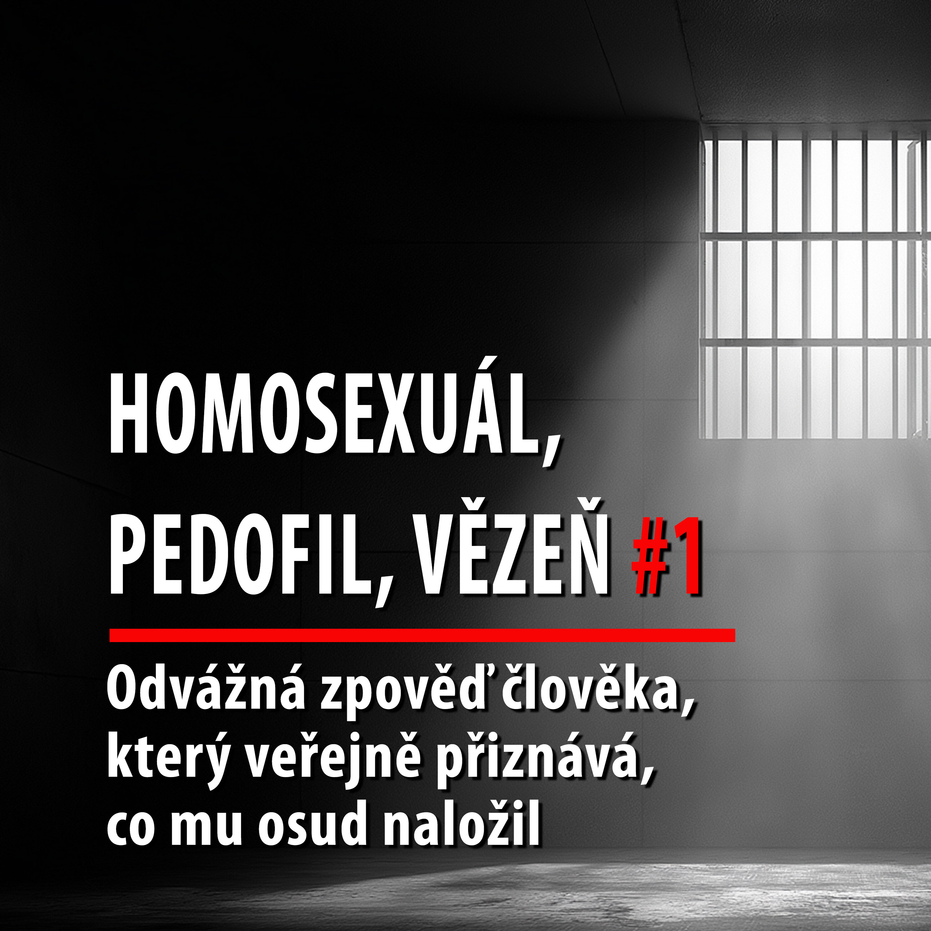 Motýl za katrem2: Odvážná zpověď latentního pedofila, která se sám udal policii