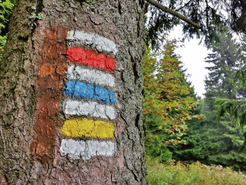 11. květen - Den, kdy byla označena první turistická trasa episode artwork