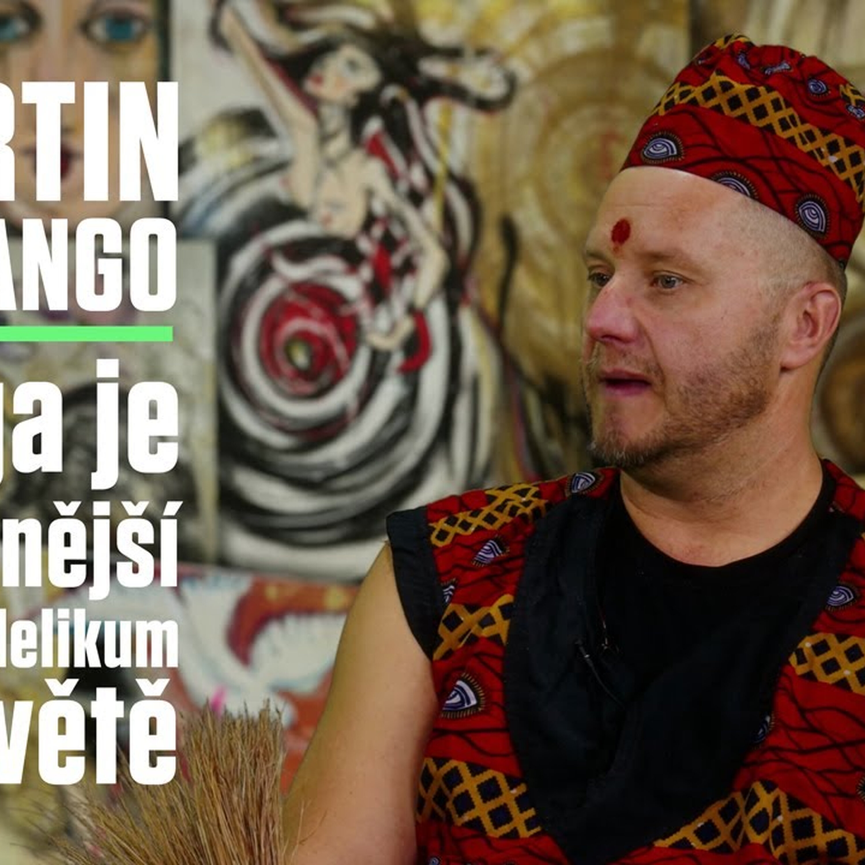 Martin Halla: Co bolí, je probouzení ze lží. Iboga, nejsilnější psychadelikum, ti zboří EGO