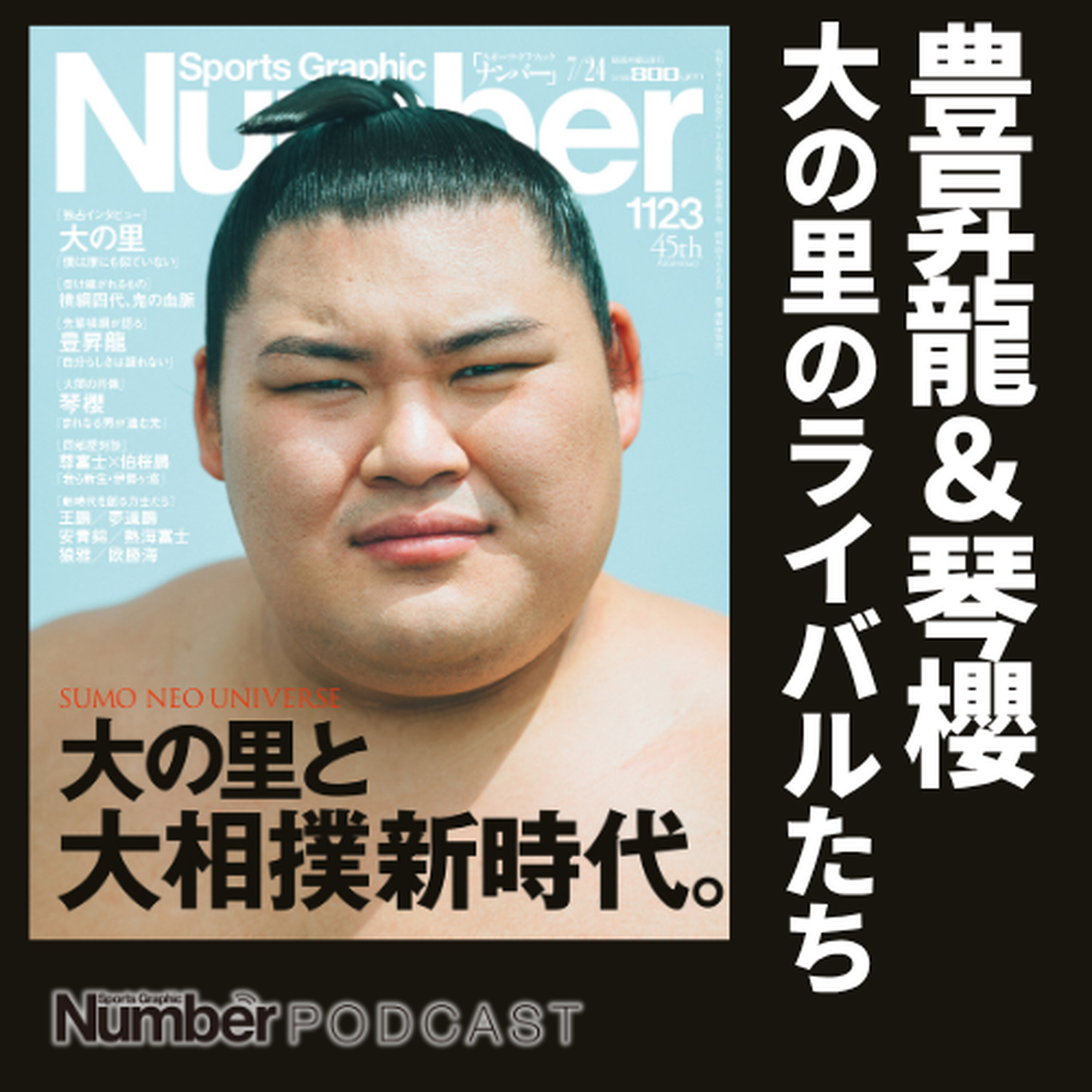 【大の里のライバル】豊昇龍の“柔らかい投げ”は真骨頂&琴櫻は「弱くなってない」の深い意味 episode artwork