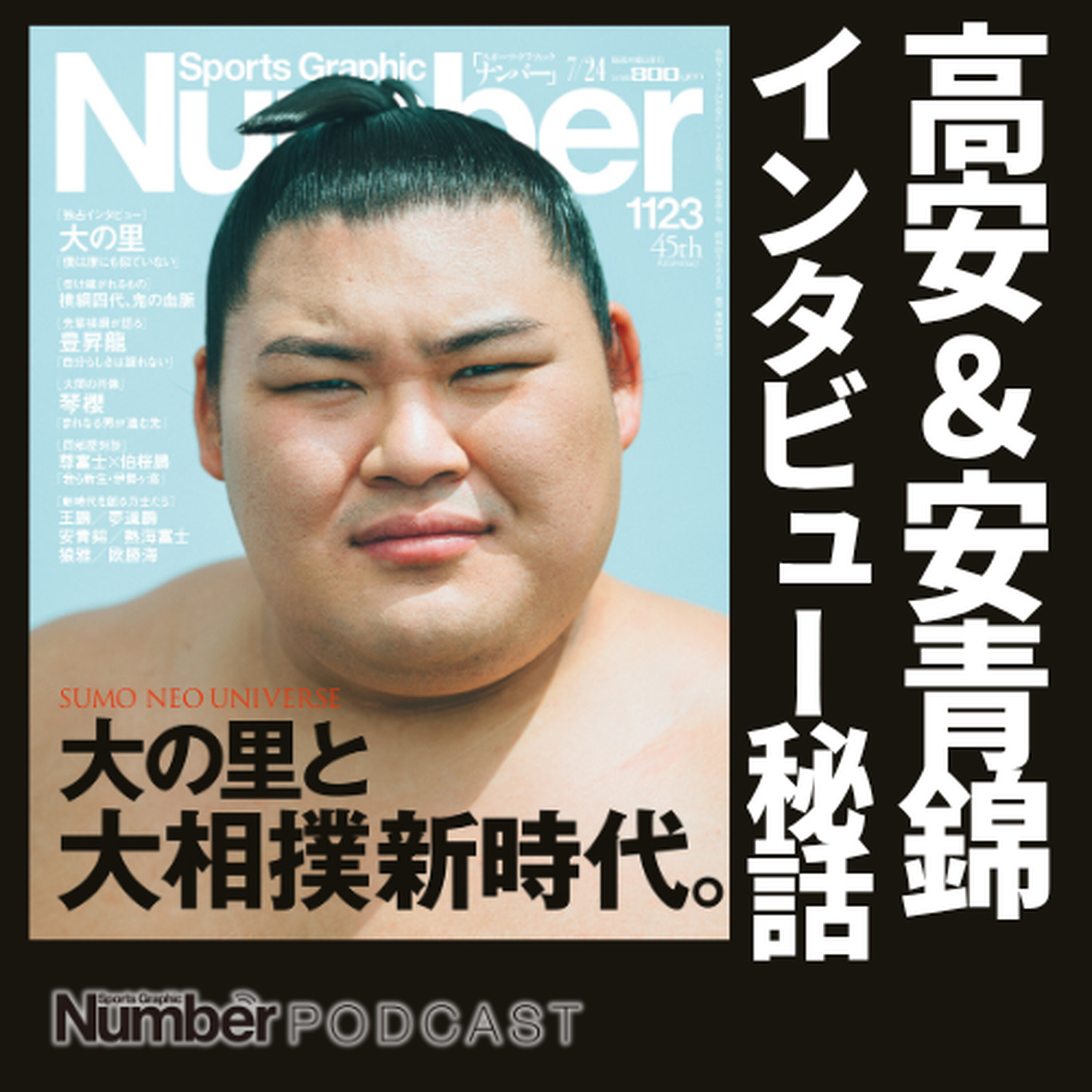 取材で高安が見せた「雲竜型」の意味とは?《安青錦が語ったウクライナ秘話》 episode artwork