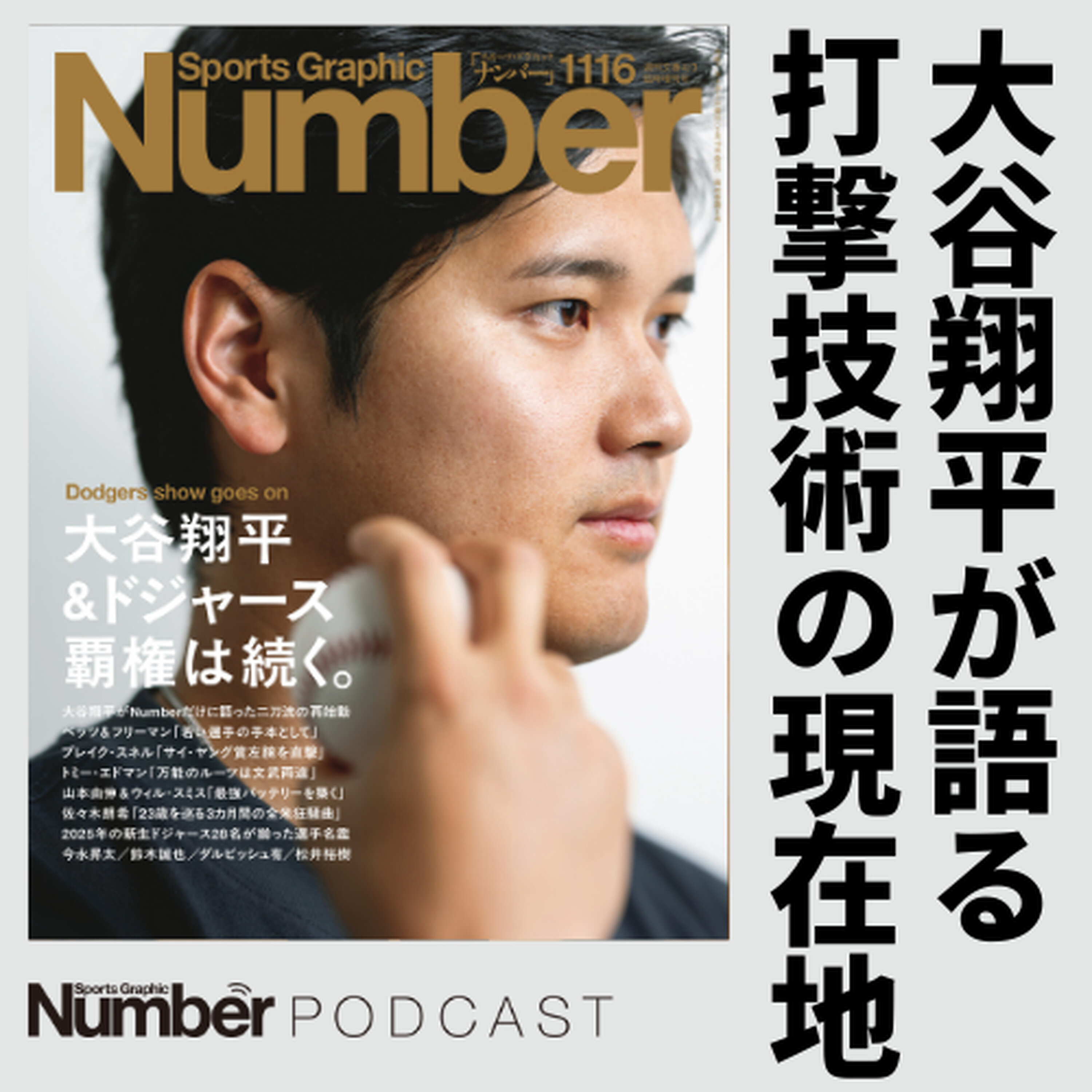 【大谷翔平独占インタビューに同席して】「技術の話はあまりしたくない」“今”考える、自分に合ったバッティングとは? episode artwork