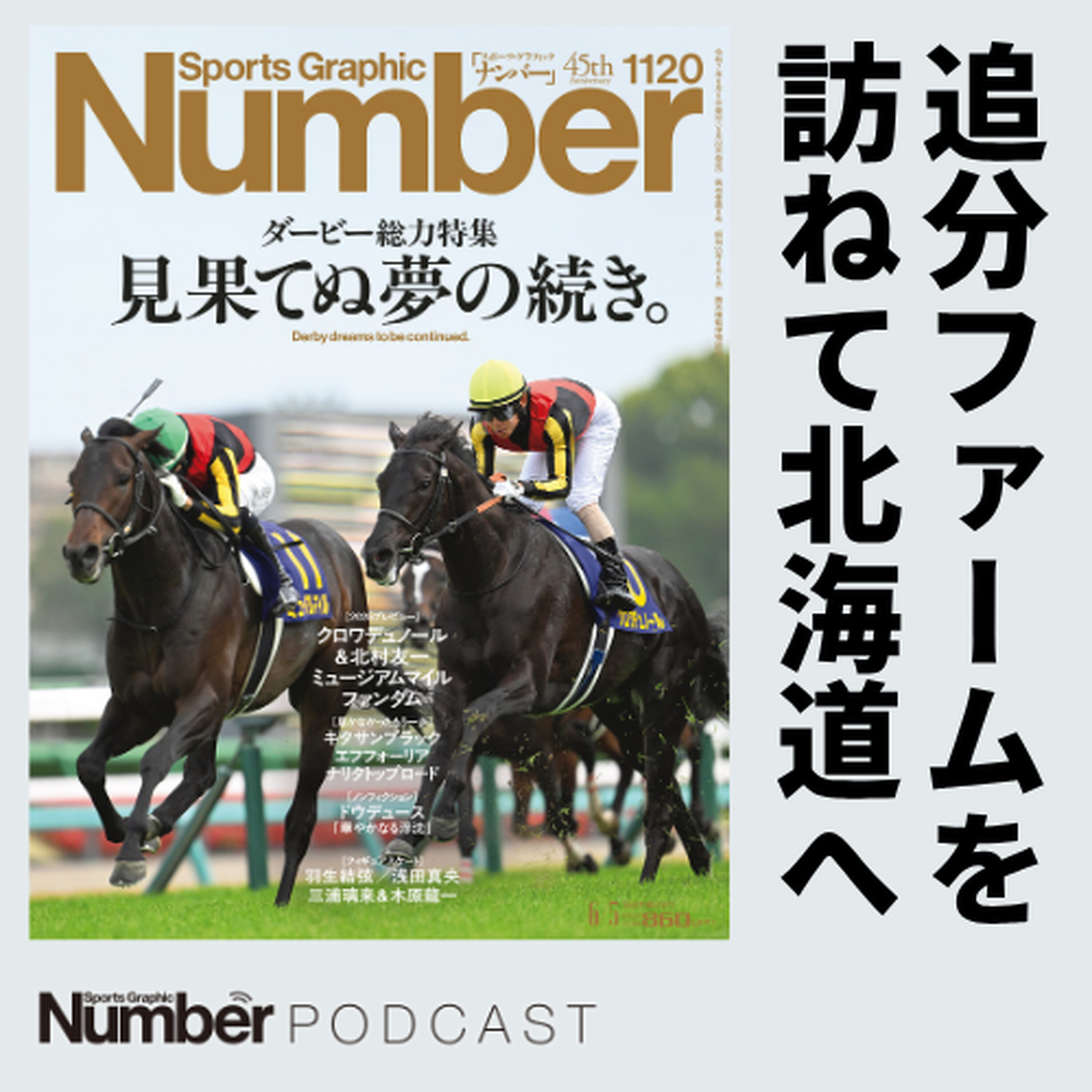 「お前は牧場で働きたいのか?」追分ファームの創設秘話と現在地《ダービー2着馬フェノーメノも活躍》 episode artwork