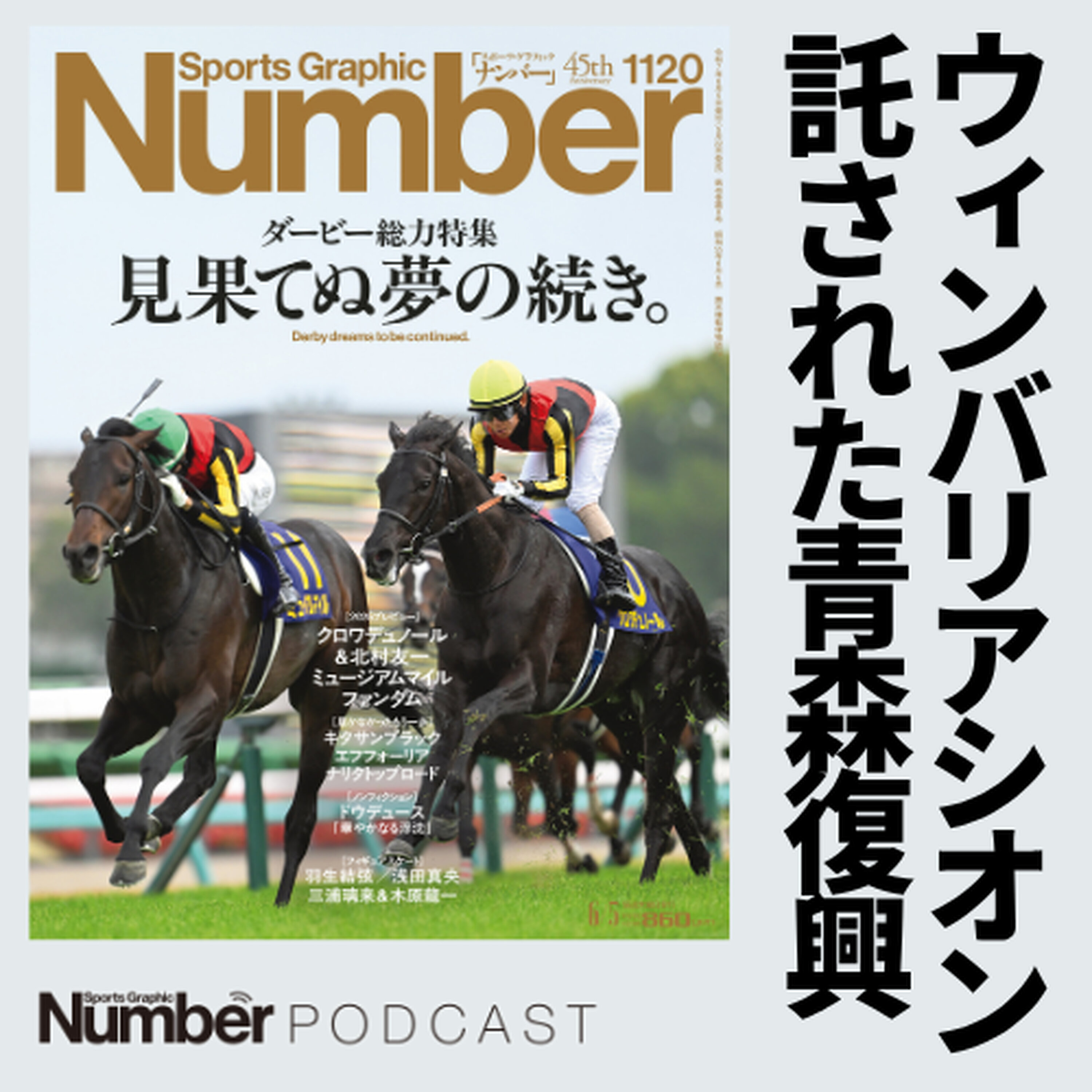 【なぜ青森に?】ウインバリアシオンが託された馬産地復興の夢《産駒ハヤテノフクノスケは天皇賞出走馬に》 episode artwork