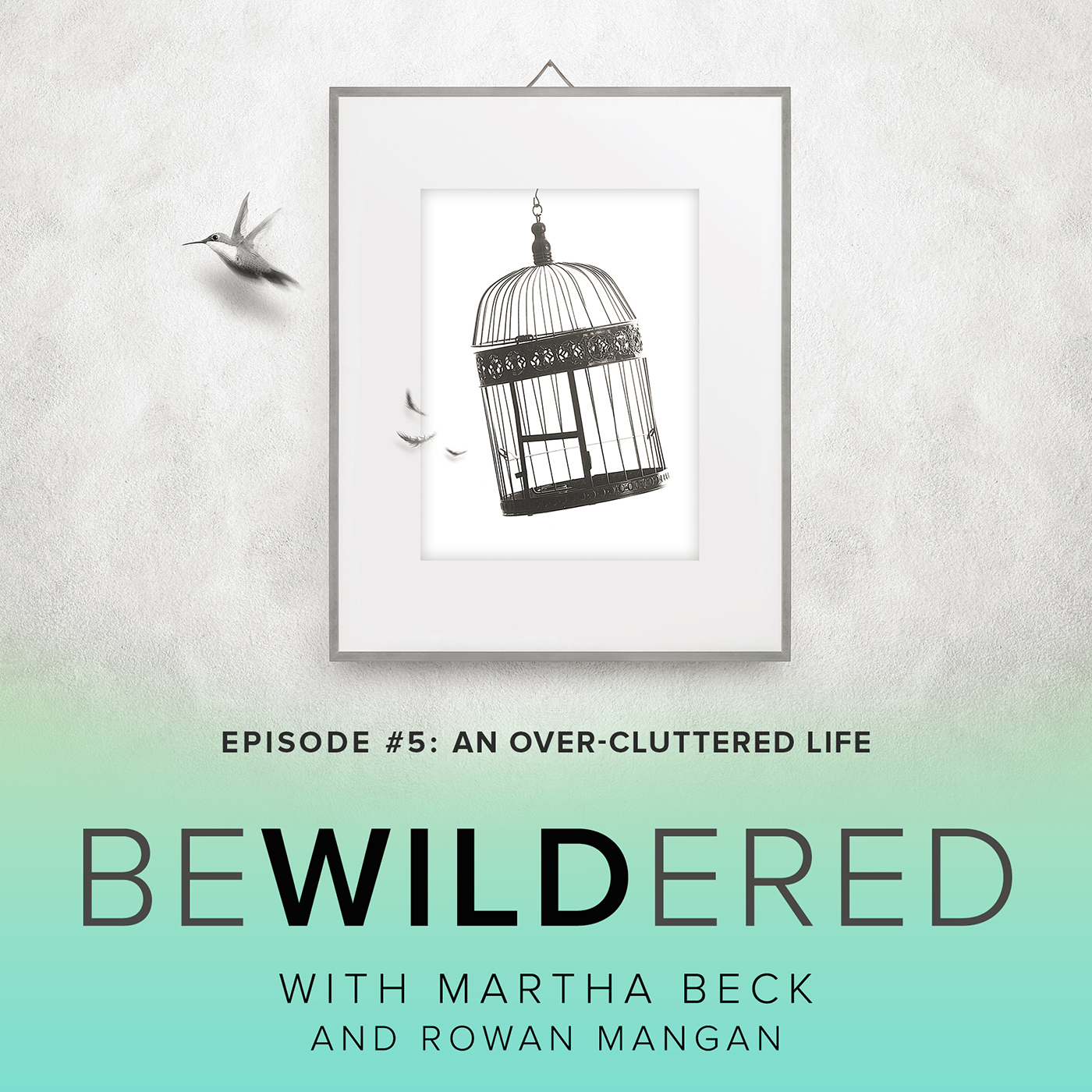 An Over-Cluttered Life