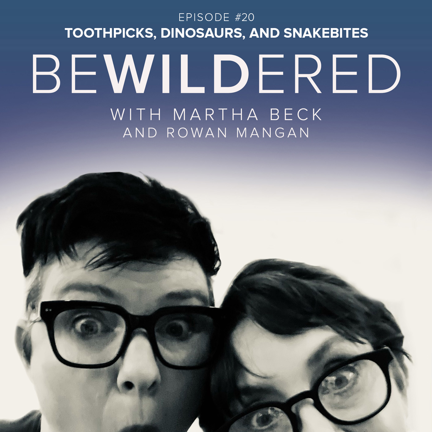 Toothpicks, Dinosaurs, and Snakebites