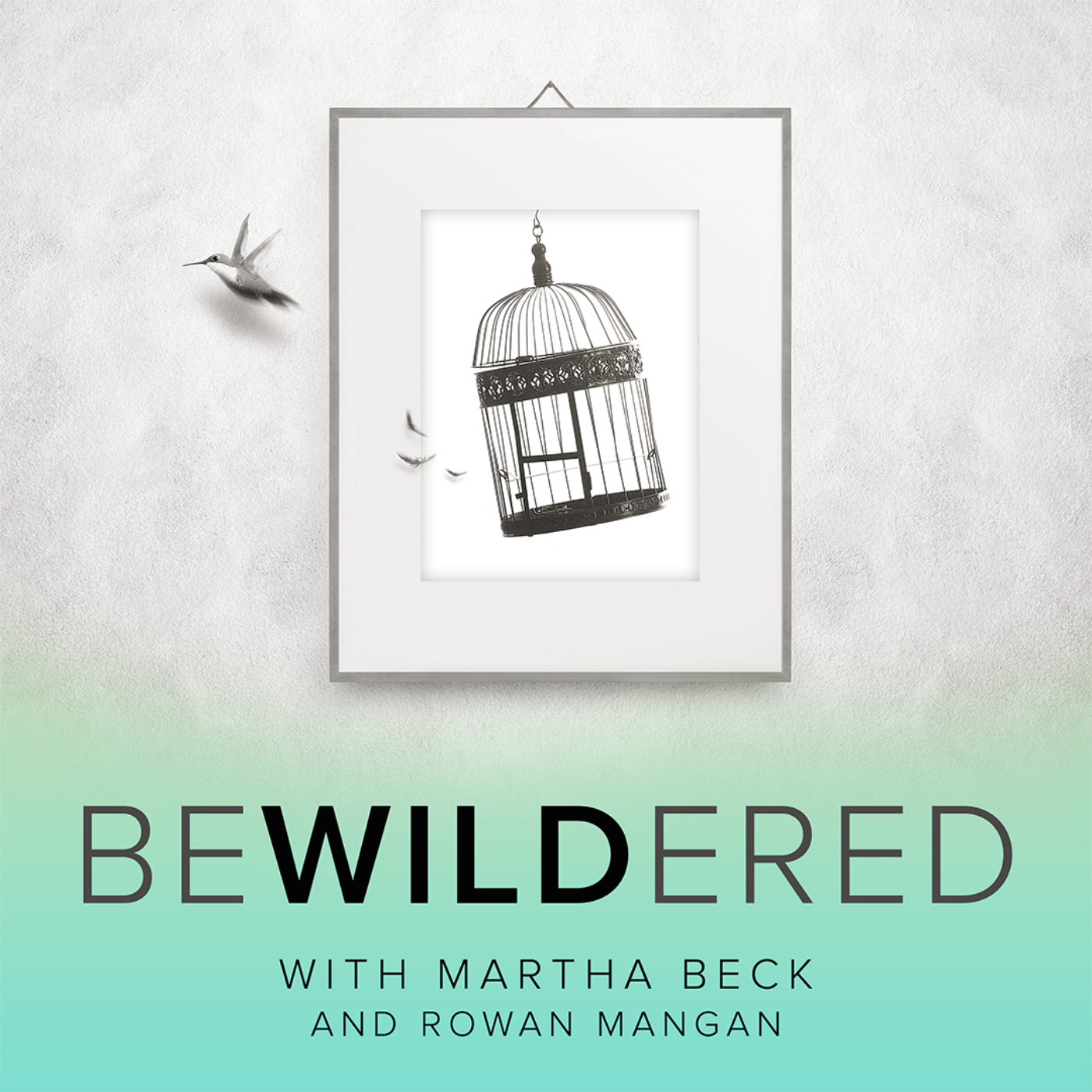 Bewildered