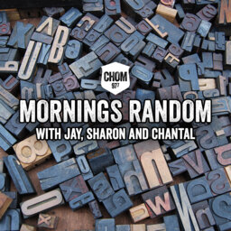 Jay's whacked on the Nyquil. Sharon sings, and MORE! It's Mornings Random!