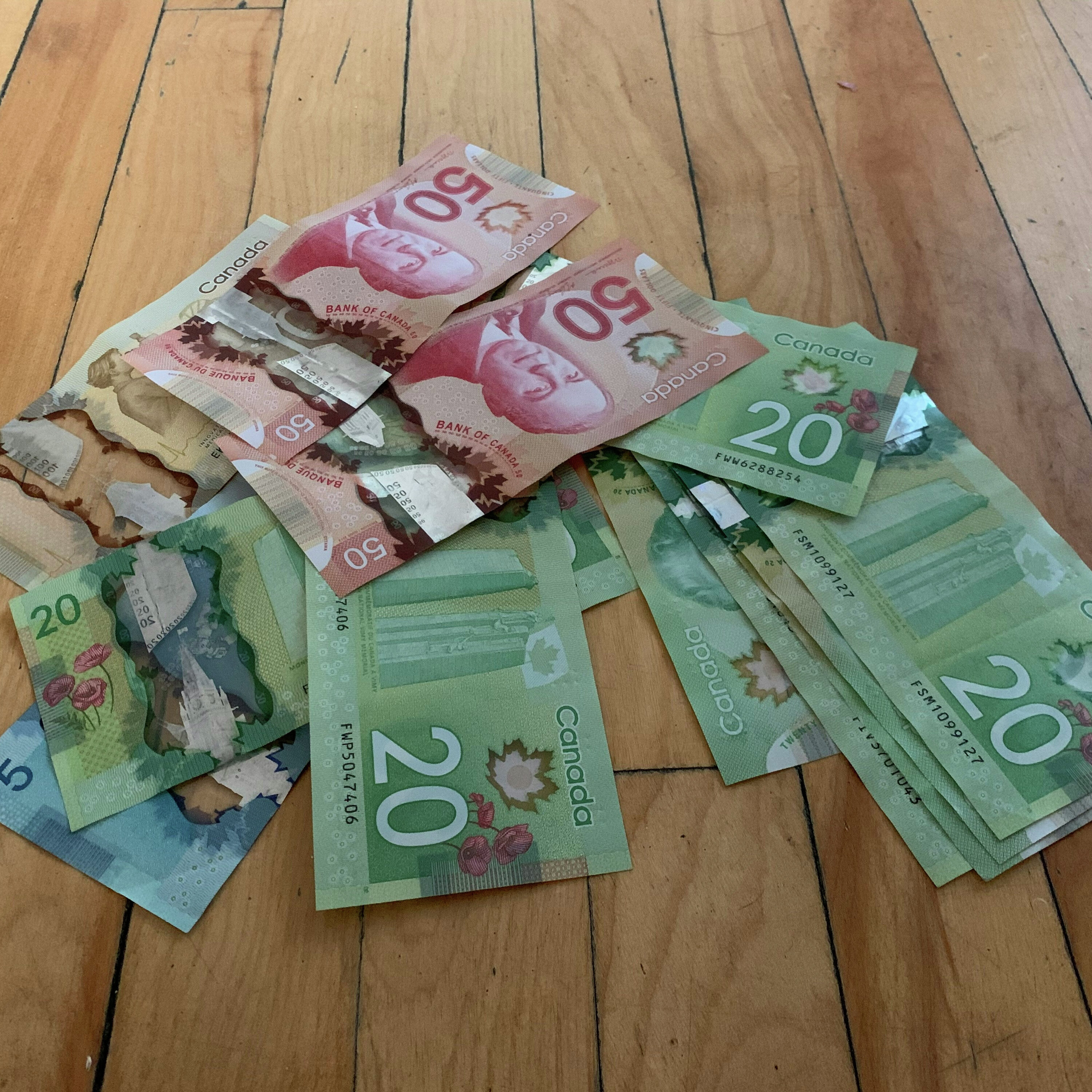 Party for Two - Cash - The Blacklock's Report - Ontario bans speed cameras