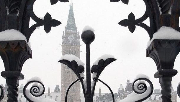 Party for Two - School board trustee controversy - Blacklock's Report - Pierre Poilievre as leader of the Conservative party
