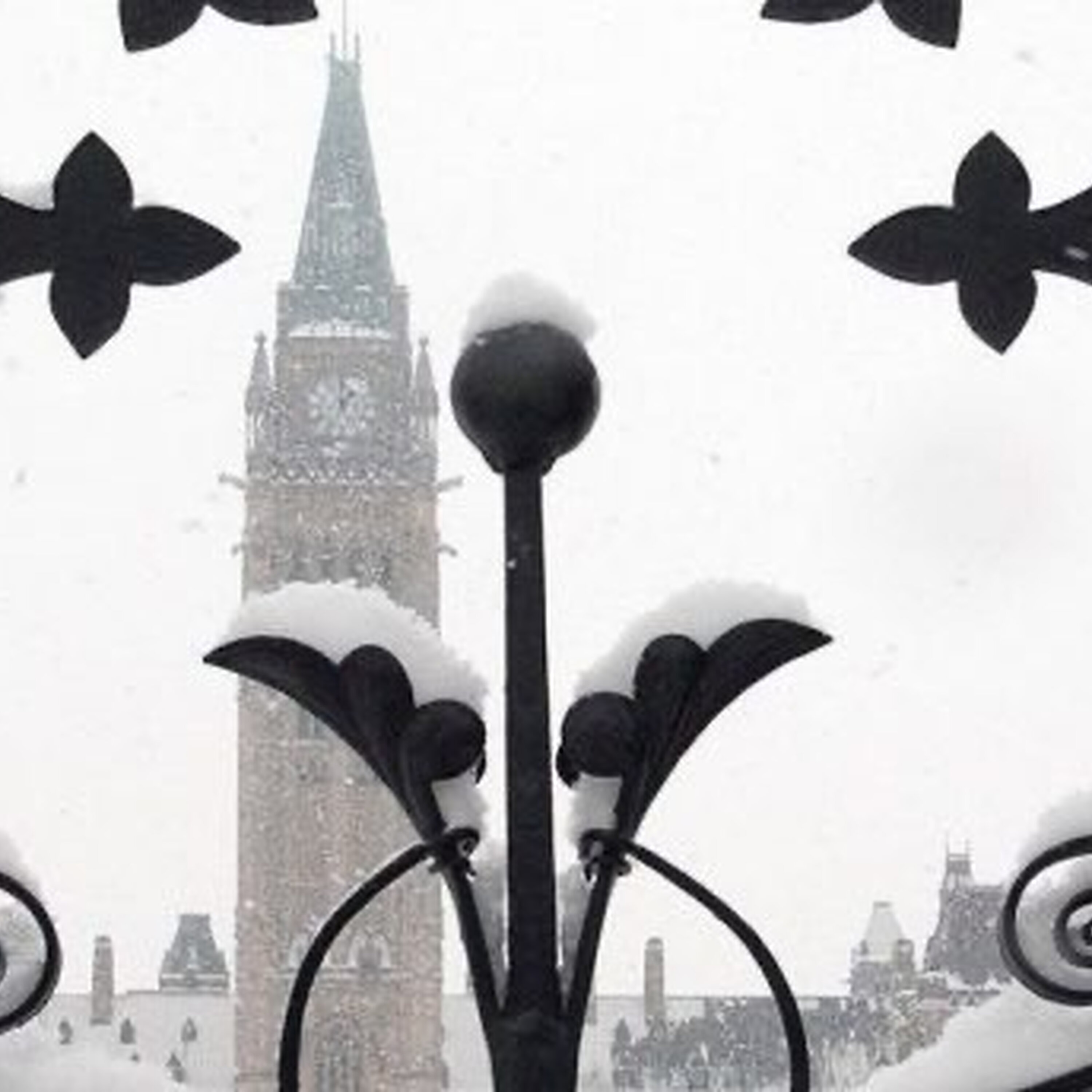 Party for Two - School board trustee controversy - Blacklock's Report - Pierre Poilievre as leader of the Conservative party