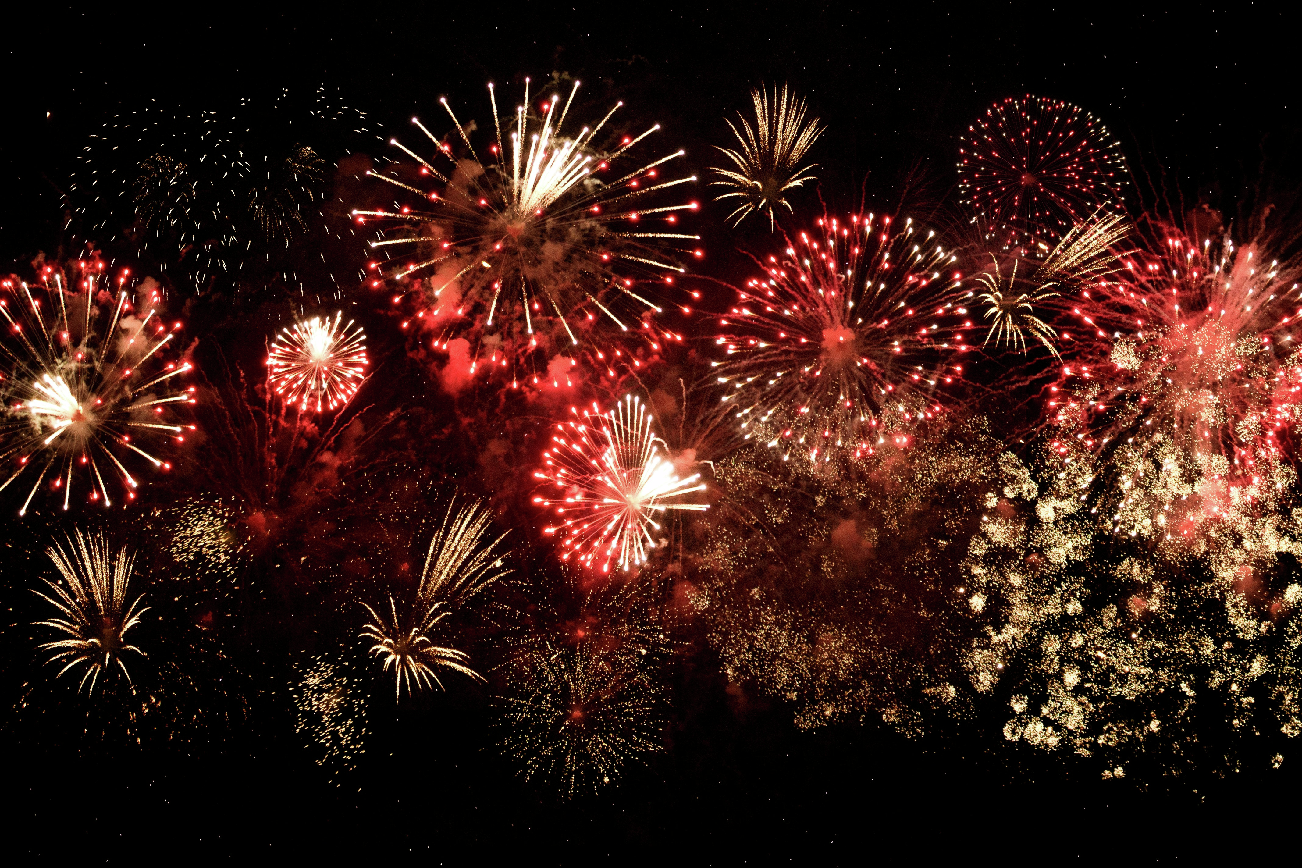 Eglinton Crosstown - Mississauga firework ban - Jail Not bail act - Jail for hate speech and holocaust denial